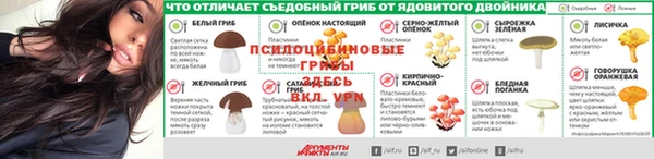прущая мука Армянск