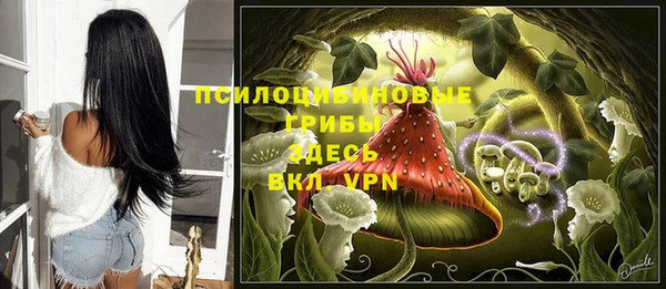 прущая мука Армянск