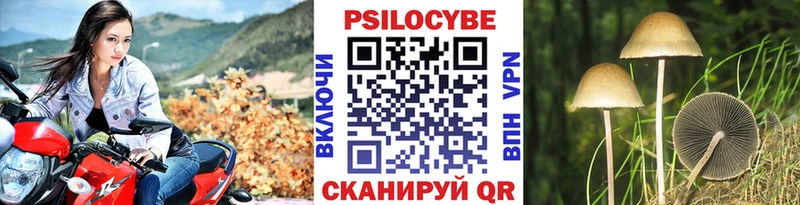 продажа наркотиков Арск Псилоцибиновые грибы Magic Shrooms